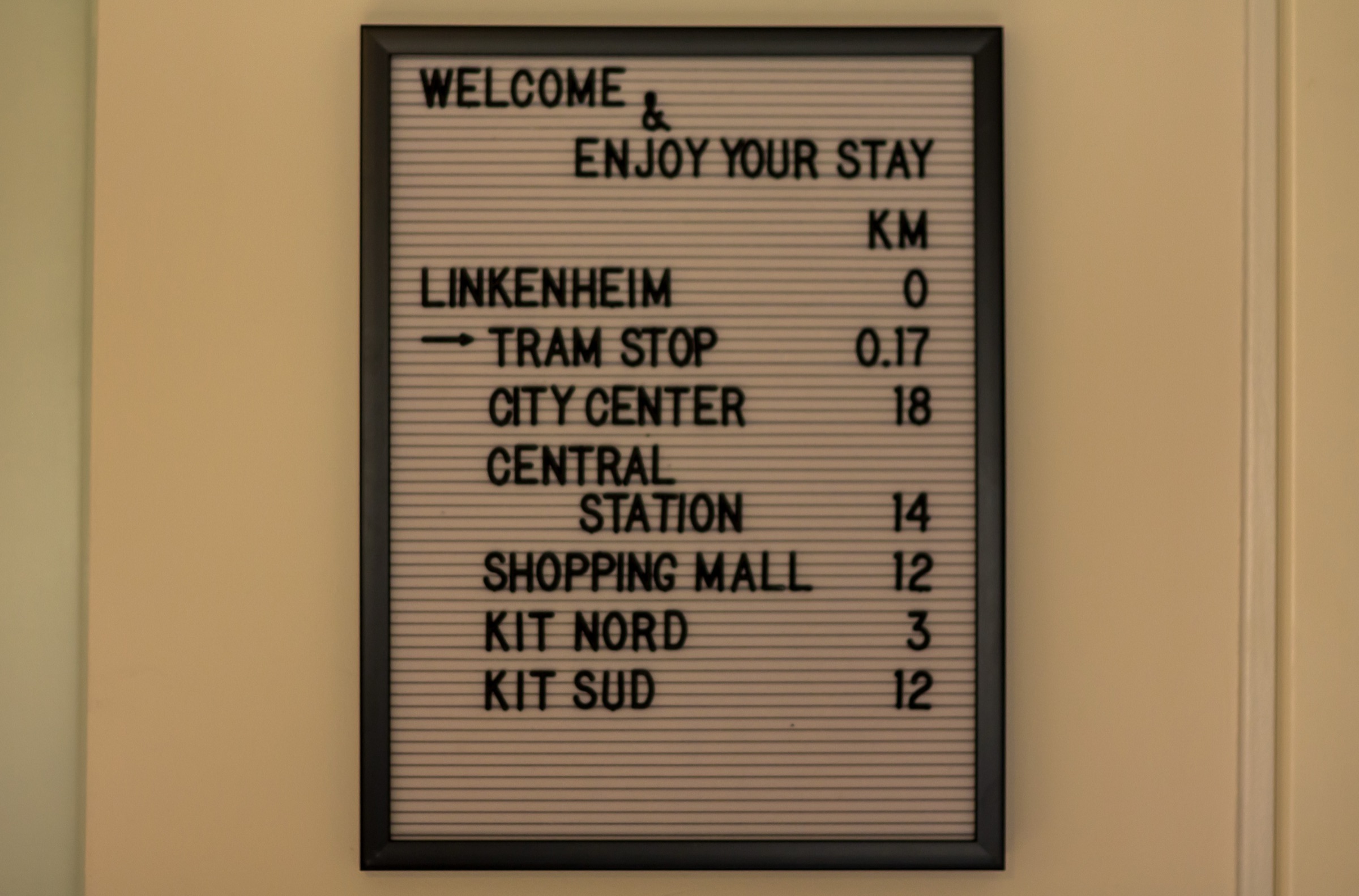 Little Beauty — Bild 6